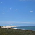 Randonnée de réthoville à l'anse de gattemare (manche) le 1er août 2017 (3)