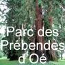 PARC DES PREBENDES D'OÉ (37 TOURS)