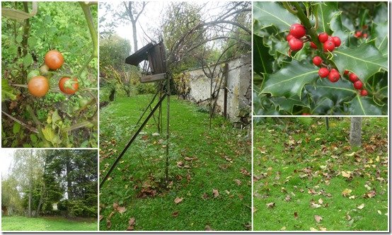 jardin 8 novembre 20223
