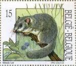 timbre belge