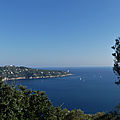 P1100260 (2)