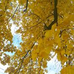 2011-11-0212