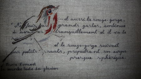 P1020560