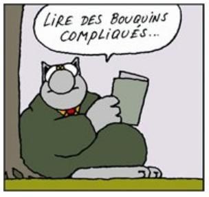 Chat chimère prix