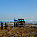 20072021 (84)