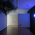 Le rêve, expo au Musée Cantini, à Marseille