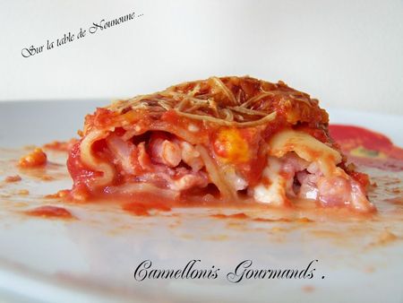 Cannellonis gourmands