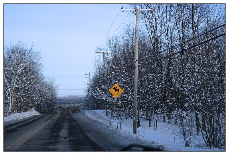 IMG_1254-1