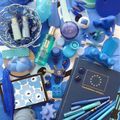 Pavillon bleu