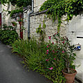 P1020450