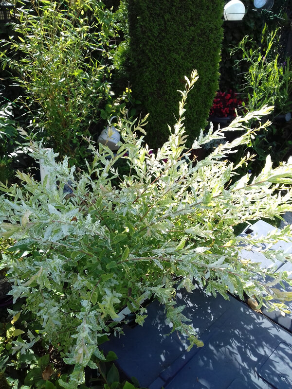 20180616_165441