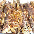 DSCN0268