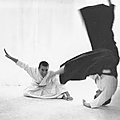 Les arts martiaux japonais comme art de la concorde, article de christophe génin