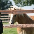La communication animale, de plus en plus reconnue. ( sophie hercelin)