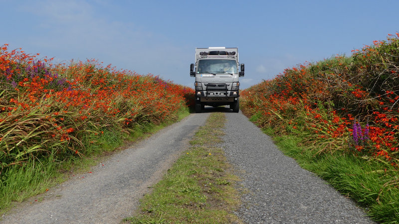 2020 08 FUSO FLEURI IRLANDE SUD