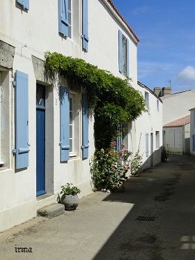DSC08799