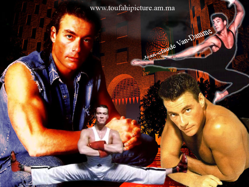 Jean Claude Van Damme رواق تفاحي للتصاميم