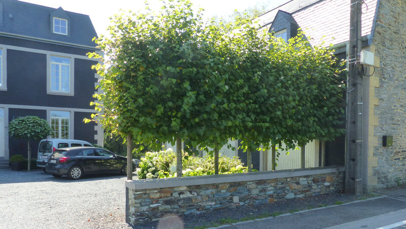 P1650550