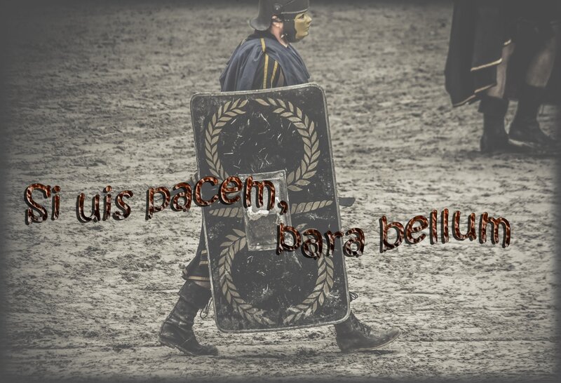 Si vis pacem, para bellum ludixcimots