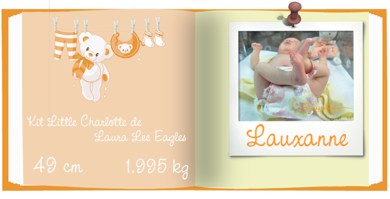 Lauxanne livre
