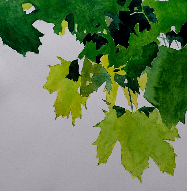 Sous un arbre un dimanche de juin 2018 ( 2), aquarelle