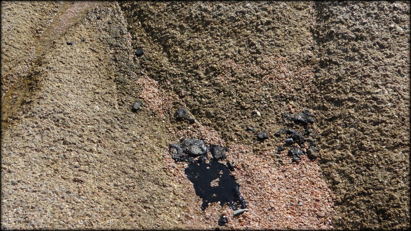 BRUT_PARC_MARIN__CORSE