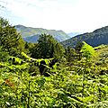 Le Layens depuis les landes de Barlagne...