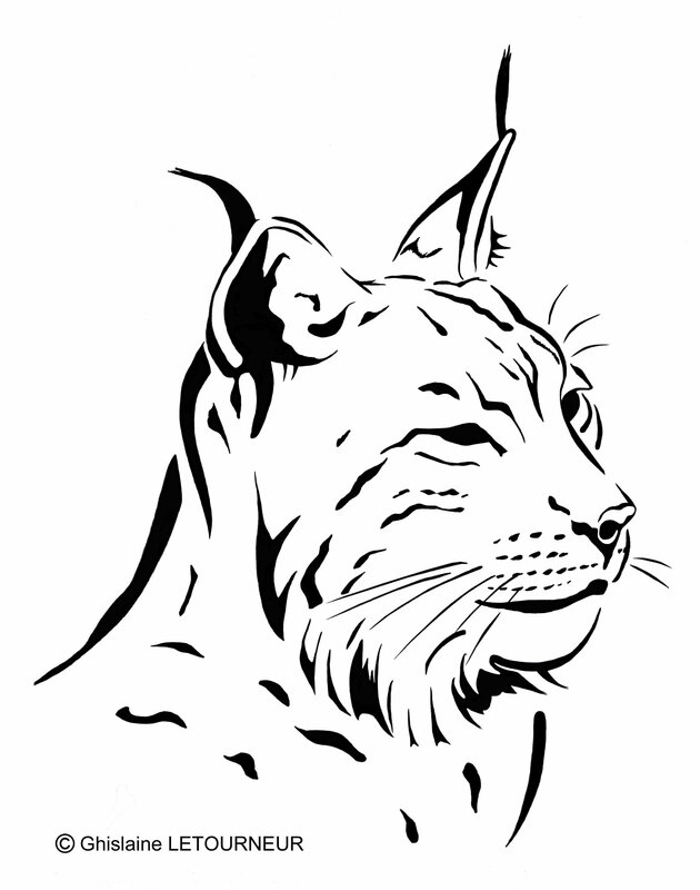 Lynx tee shirt Pôle Grands Prédateurs OK BD - 2