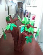 baobab A7