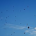 IMGP9622