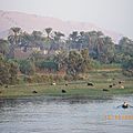 IMGP0869