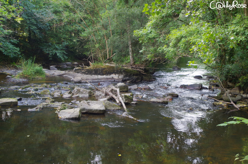 && vallée du Léguer (26)