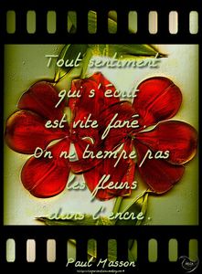 fane