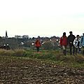 IMGP2452