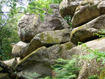 Pierre_Ginich_22