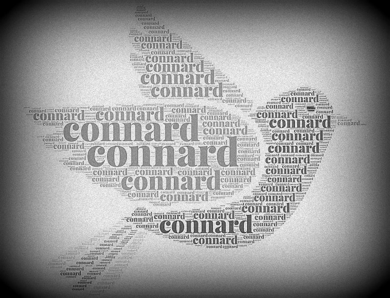 connard bis