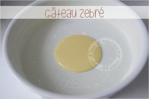 Gâteau_Zebré011