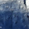 _IGP7218-2