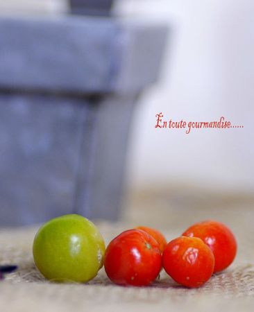Copie de _IGP4557