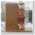 carte papillons 1