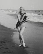 2017-08-13-iconic_image_Marilyn-juliens-lot26