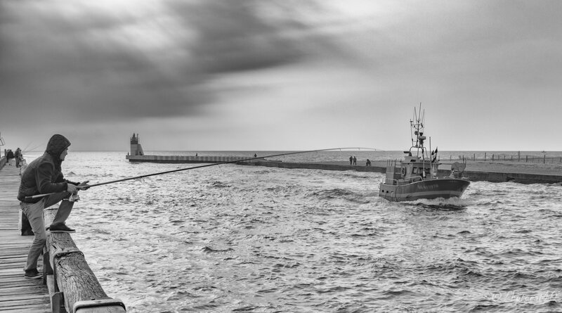 _MG_1446-Modifier