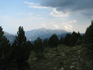 7 (249)