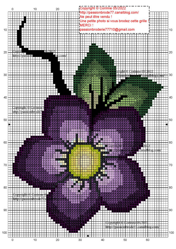 Fleur violette_Page_1