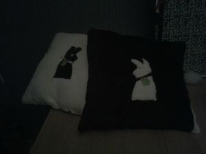 CAM00208