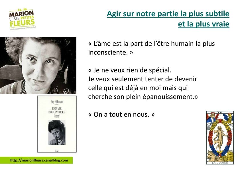 Les Fleurs De L Ame Edward Bach Etty Hillesum La Part Spirituelle En Nous Marion Fleurs