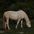 IMG_5762