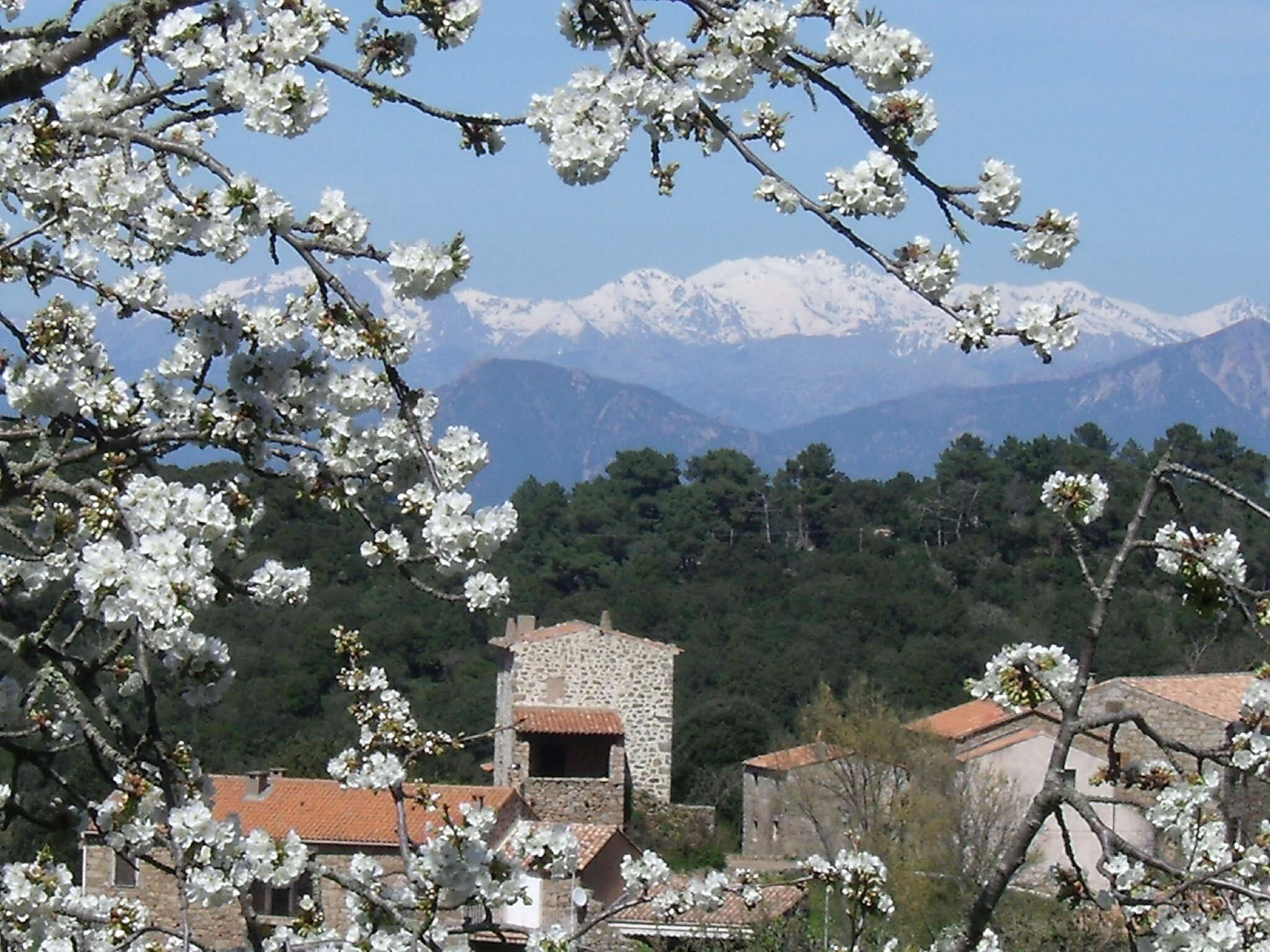 Vues Du Village Photos Prises Le 150413 Entre Fleurs De