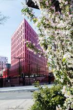 wb_St Etienne immeuble rose_20190418_3195