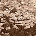 P1040497